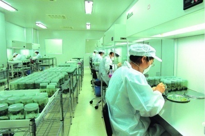 《電子廠招聘陷阱多，暑假工選勞務需謹慎》